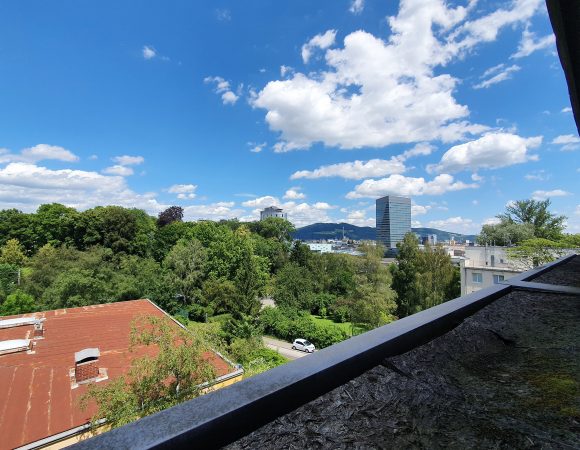 Sophiengutstraße Ausblick